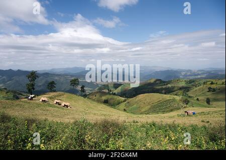 Paysage de colline agricole avec cabane de chaume et ciel bleu dans la campagne à Doi Mae Tho, Chiang Mai, Thaïlande Banque D'Images