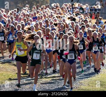 Wappingers Falls, New York, États-Unis - 23 novembre 2019 : plus de 200 filles du secondaire les quatre premiers cent mètres dans une course de fond sur le Bowdoin Banque D'Images