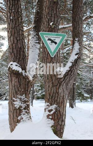 Promenez-vous dans le Riedboden près de Mittenwald, Europe, Allemagne, Bavière, haute-Bavière, Werdenfelser Land, hiver, forêt, panneau pour la réserve naturelle, aigle Banque D'Images