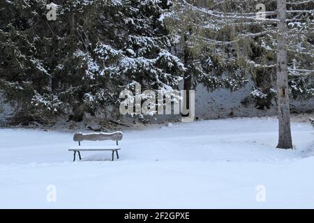 Promenade dans le Riedboden près de Mittenwald, banc, banc, Europe, Allemagne, Bavière, haute-Bavière, Werdenfelser Land, hiver, forêt Banque D'Images