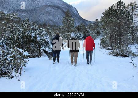 3 femmes sur une promenade dans le Riedboden près de Mittenwald, Europe, Allemagne, Bavière, haute-Bavière, Werdenfelser Land, hiver, forêt, loisirs Banque D'Images