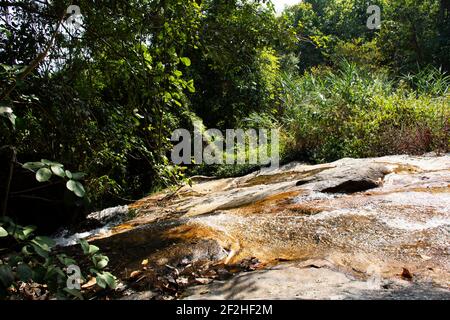 Chutes d'eau de Mae sa pour les thaïlandais et les voyageurs étrangers Voyage visitez et reposez-vous détendez-vous en plein air dans la forêt sauvage de la jungle dans matin de doi suthep doi pui nat Banque D'Images