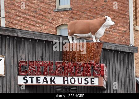 Fort Worth Stockyards - Longhorns Banque D'Images