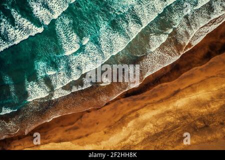 La belle plage de Piha autour du célèbre Lion Rock, Nouvelle-Zélande par drone Banque D'Images