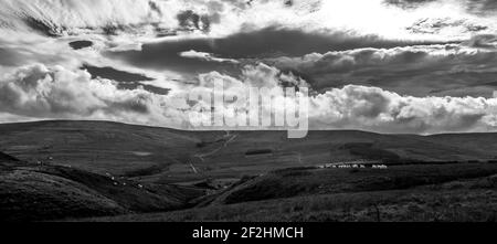 Sous un ciel nuageux, les moutons parcourent des landes ouvertes en hauteur dans le nord des Pennines, comté de Durham, Weardale, Royaume-Uni.(B&W) Banque D'Images