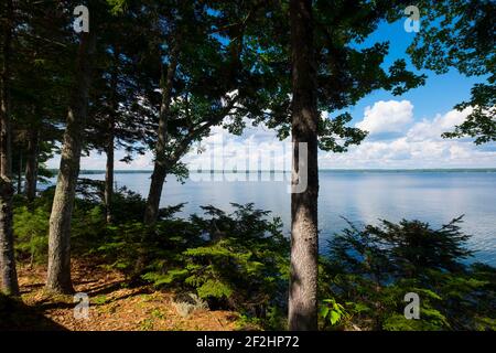 Vue imprenable sur Union River Bay depuis une terrasse au bord de l'eau. À Surry, Maine. Banque D'Images
