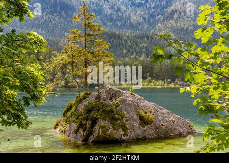 Petite île, Hintersee, Ramsau, Berchtesgaden, Alpes de Berchtesgaden, Parc national de Berchtesgaden, Berchtesgadener Land, haute-Bavière, Bavière, Allemagne, Europe Banque D'Images