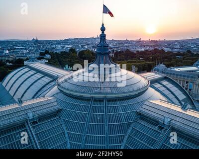 Antenne du Grand Palais (toit en verre) Visible avec drapeau français volant au-dessus au printemps matin avec paris en toile de fond Banque D'Images