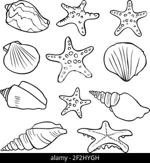 Silhouettes noir et blanc de coquillages et de poissons de début. Design pour livre de coloriage. Collection de vecteurs. Illustration de Vecteur