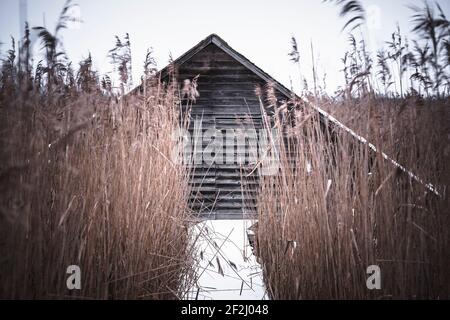 Boathouse, Federsee, Bad Buchau, hiver, Alb souabe, Bade-Wurtemberg, Allemagne, Europe Banque D'Images