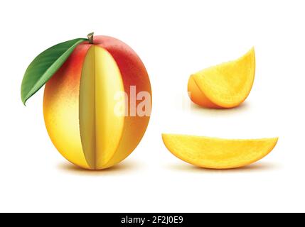 Mangue vectorielle mûre jaune, orange, rouge avec feuille isolée sur fond blanc Illustration de Vecteur