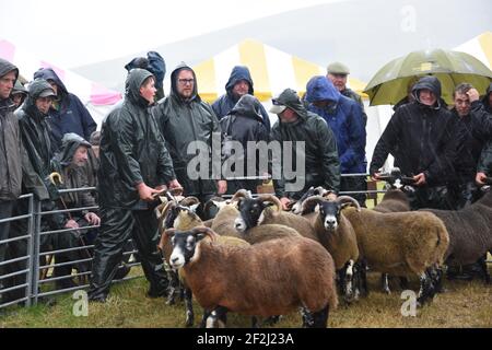 Un spectacle Abington très humide, South Lanarkshire, Écosse Banque D'Images