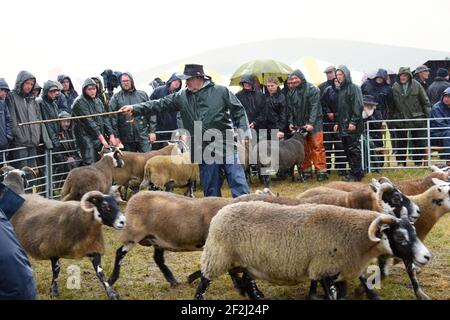 Un spectacle Abington très humide, South Lanarkshire, Écosse Banque D'Images