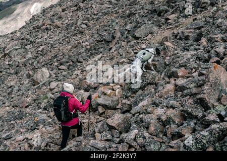 Randonnée pédestre avec un chien en montagne pendant les vacances Banque D'Images