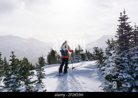 Vue arrière de la planche à bord d'une femme pendant les vacances Banque D'Images