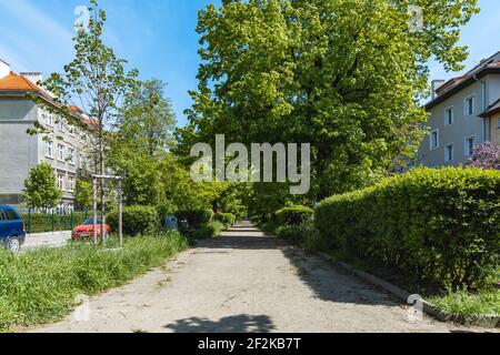 Wroclaw, Pologne - Mai 8 2020: Long chemin avec des buissons et des bancs autour entre la route à deux voies Banque D'Images