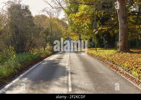 Route de campagne britannique bordée d'arbres dans la campagne, montrant une longue route avec une pente décente et puis en montant dans la distance. Banque D'Images