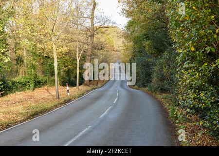 Route de campagne britannique bordée d'arbres dans la campagne, montrant une longue route avec une pente décente et puis en montant dans la distance. Banque D'Images