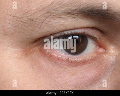 Détail de l'œil homme jeune adulte Banque D'Images