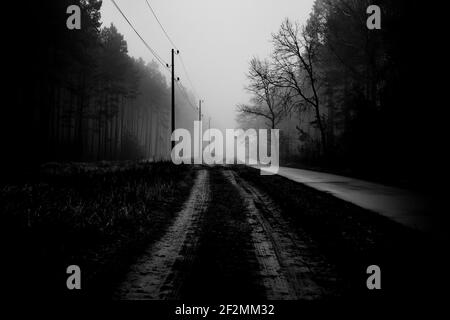 Chemin forestier en hiver en allemagne, noir et blanc Banque D'Images