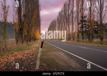 L'automne sur la Gould Memorial Drive Banque D'Images