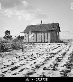 Maison de ferme Widtsoe. L'achat de l'administration de la réinstallation. Utah. Avril 1936. Photo de Dorothea Lange. Banque D'Images