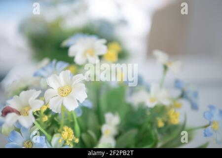 Gros plan sur les fleurs blanches et bleues avec du pollen jaune. Belle fleur de fausse fleur et feuille verte avec arrière-plan flou. Sélectionnez mise au point DEP. Peu profonde Banque D'Images