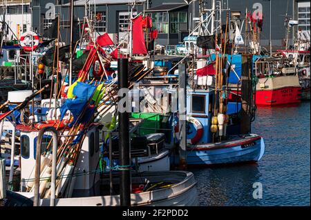 Port de pêche, Hirtshals, Jutland du Nord, Danemark Banque D'Images