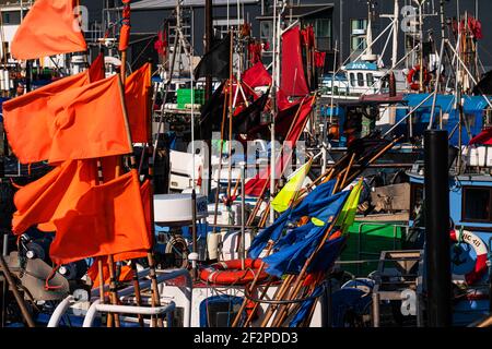 Port de pêche, Hirtshals, Jutland du Nord, Danemark Banque D'Images