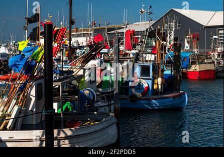 Port de pêche, Hirtshals, Jutland du Nord, Danemark Banque D'Images