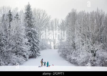 Allemagne, Bavière, Penzberg, forêt enneigée avec conducteurs de traîneau Banque D'Images