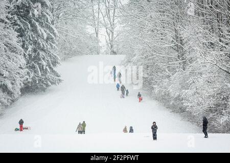 Allemagne, Bavière, Penzberg, forêt enneigée avec conducteurs de traîneau Banque D'Images