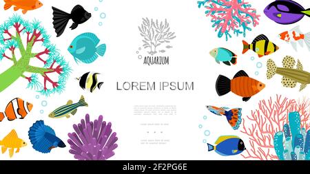 Modèle plat d'éléments d'aquarium avec des poissons colorés bulles d'eau coraux et illustration du vecteur d'algues Illustration de Vecteur