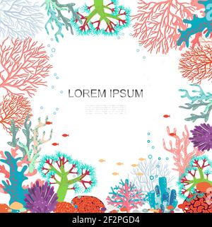 Modèle marin lumineux avec algues et coraux colorés en style plat sur fond blanc illustration vectorielle Illustration de Vecteur