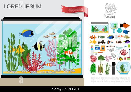 Plat belle composition d'aquarium avec poissons lumineux matériel de nettoyage nourriture lampe de thermomètre d'algues et illustration vectorielle de pierres de coraux Illustration de Vecteur