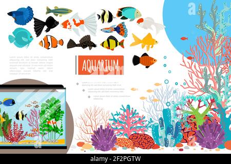 Composition d'éléments d'aquarium plats avec poissons exotiques colorés coraux algues illustration vectorielle de pierres et de bulles d'eau Illustration de Vecteur