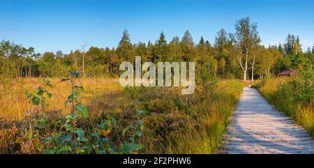 Wurzacher Ried, Bad Wurzach, haute-Souabe, Bade-Wurtemberg, Allemagne, Europe Banque D'Images