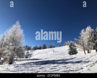 Domaine skiable de Bergeralm, arbres glacés, arbres enneigés, paysage d'hiver, panorama d'hiver, Nature, piste de ski, Wipptal, Col de Brenner, Innsbruck, Steinach am Brenner, Tyrol, Autriche Banque D'Images