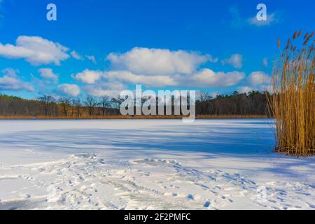 Lac complètement gelé dans le village de Holbeck en Allemagne en hiver, glace couverte de neige, lac de pêche Banque D'Images