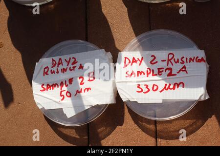 Kisumu, Nyanza, Kenya. 9 mars 2021. Des échantillons prélevés sur le lac Victoria au cours des enquêtes. Bahati Mayoma, un chercheur tanzanien spécialisé dans l'écologie aquatique et la gestion de la pollution, étudie l'étendue de la pollution par les microplastiques dans le lac Victoria. Crédit : James Wakibia/SOPA Images/ZUMA Wire/Alay Live News Banque D'Images