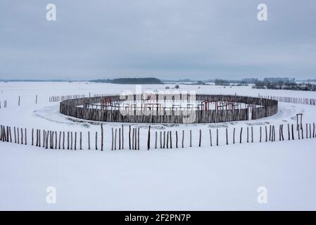 Allemagne, Saxe-Anhalt, Pömmelte, sanctuaire couvert de neige, fossé circulaire, Également connu sous le nom de Stonehenge allemand par les archéologues. Banque D'Images