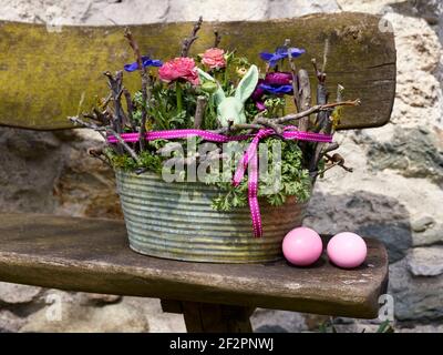 Arrangement de Pâques dans un petit bac en étain sur un banc en bois avec ranunculus, anemones bleus et un lapin de Pâques de couleur menthe, attaché avec ruban rose Banque D'Images