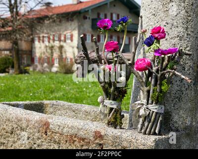 Ranunculus et anemones en deux arrangements floraux avec des branches d'arbres fruitiers coupées sur un bassin de fontaine en pierre, en arrière-plan une ferme bavaroise Banque D'Images