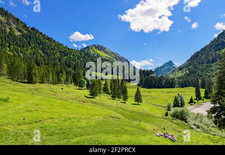 Paysage alpin de montagne avec des prairies verdoyantes et une forêt par une belle journée d'été. Hintersteiner Tal, Alpes Allgäu, Bavière, Allemagne Banque D'Images