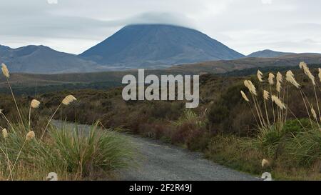 Vue sur le mont Ngauruhoe depuis la piste de randonnée jusqu'aux chutes de Taranaki Dans le parc national de Tongariro, région de Manawatu-Wanganui sur l'île du Nord de New Zélande Banque D'Images