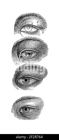 Gravure antique des yeux. De haut en bas - japonais, coréen, chinois, Dayak. Illustration publiée dans Systematischer Bilder-Atlas zum Converseti Banque D'Images