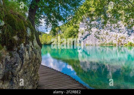 Promenade en bois menant à travers le parc national des lacs de plitvice en Croatie Banque D'Images