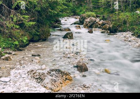 Rivière forestière qui coule sur des rochers couverts de mousse (Alpes, Dolomites italiens) Banque D'Images