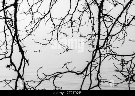 Photo en noir et blanc. Vue sur la silhouette d'un bateau avec des pêcheurs à travers la branche arborée. Photo de silhouette. Paysage de Moody. Lac de Garde, Italie Banque D'Images