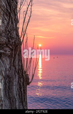 Magnifique vue sur le coucher de soleil multicolore sur le lac de Garde. Au premier plan se trouve un tronc d'arbre texturé. Italie Banque D'Images